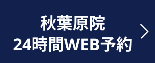 秋葉原24時間WEB予約