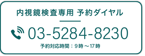 内視鏡検査専用 予約ダイヤル 03-5284-8230