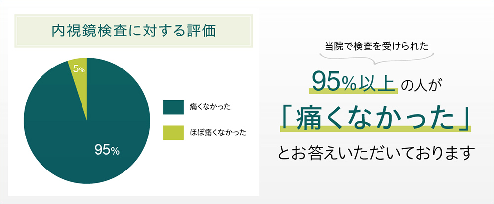 内視鏡検査に対する評価