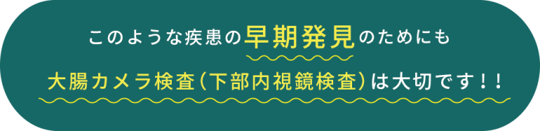 このような疾患の早期発見のためにも大腸カメラ検査（下部内視鏡検査）は大切です！！