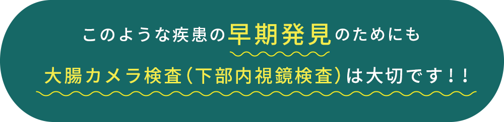 このような疾患の早期発見のためにも大腸カメラ検査（下部内視鏡検査）は大切です！！