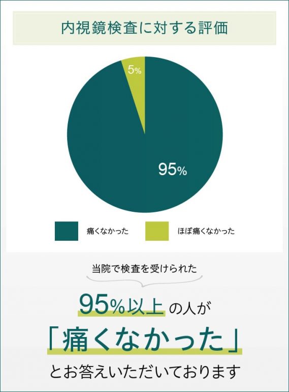 内視鏡検査に対する評価